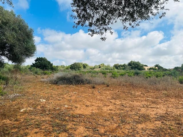 Rakentamaton maa myytävänä paikassa Campos - 340 000 € (Ref: 7849914)