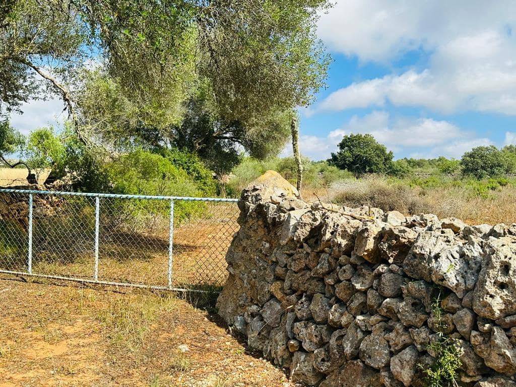 Grunde uden byggetilladelser til salg i Campos - € 340.000 (Ref: 7849914)