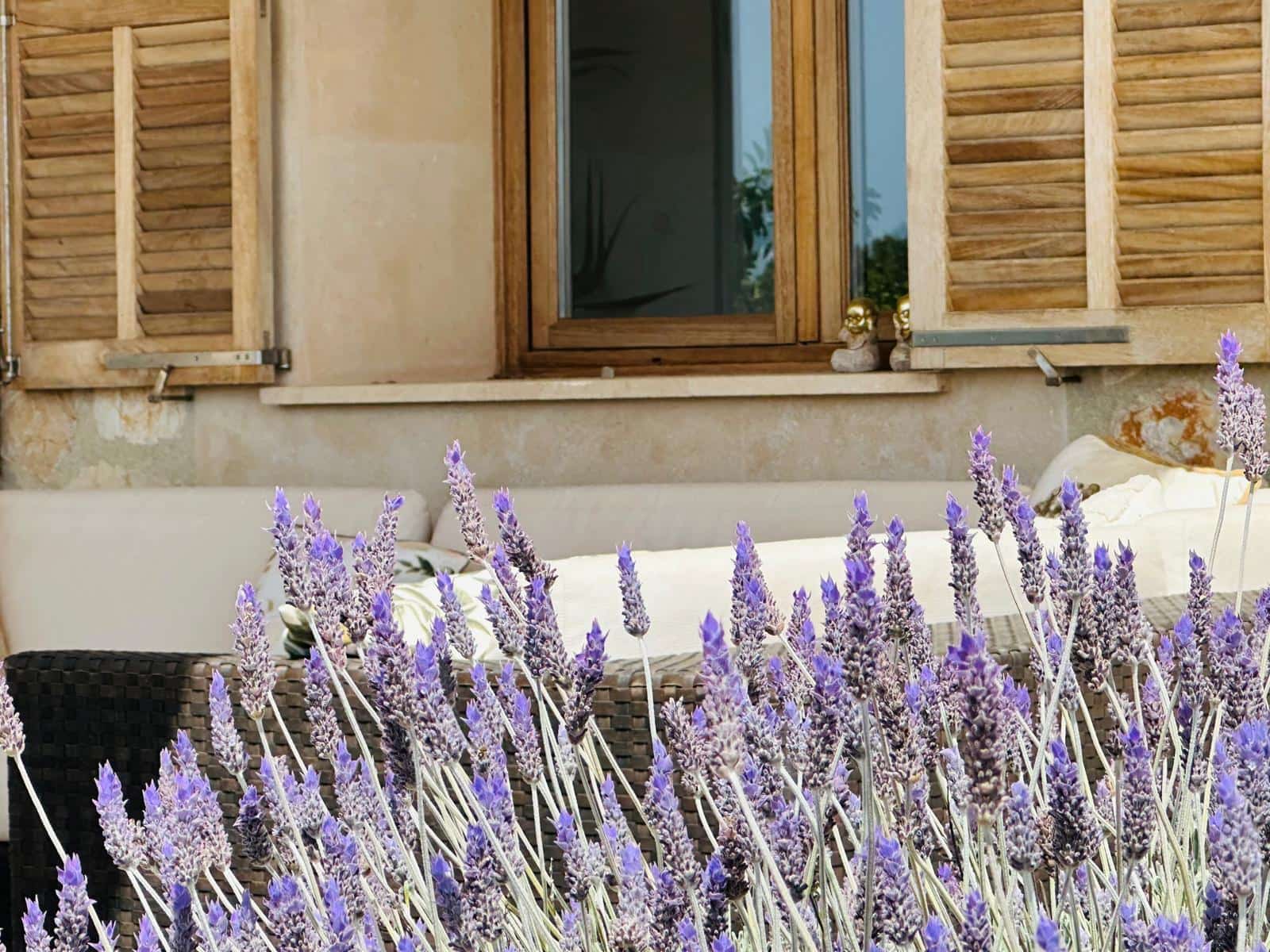 Villa for sale in Manacor with pool - € 3,890,000 (Ref: 7881630)