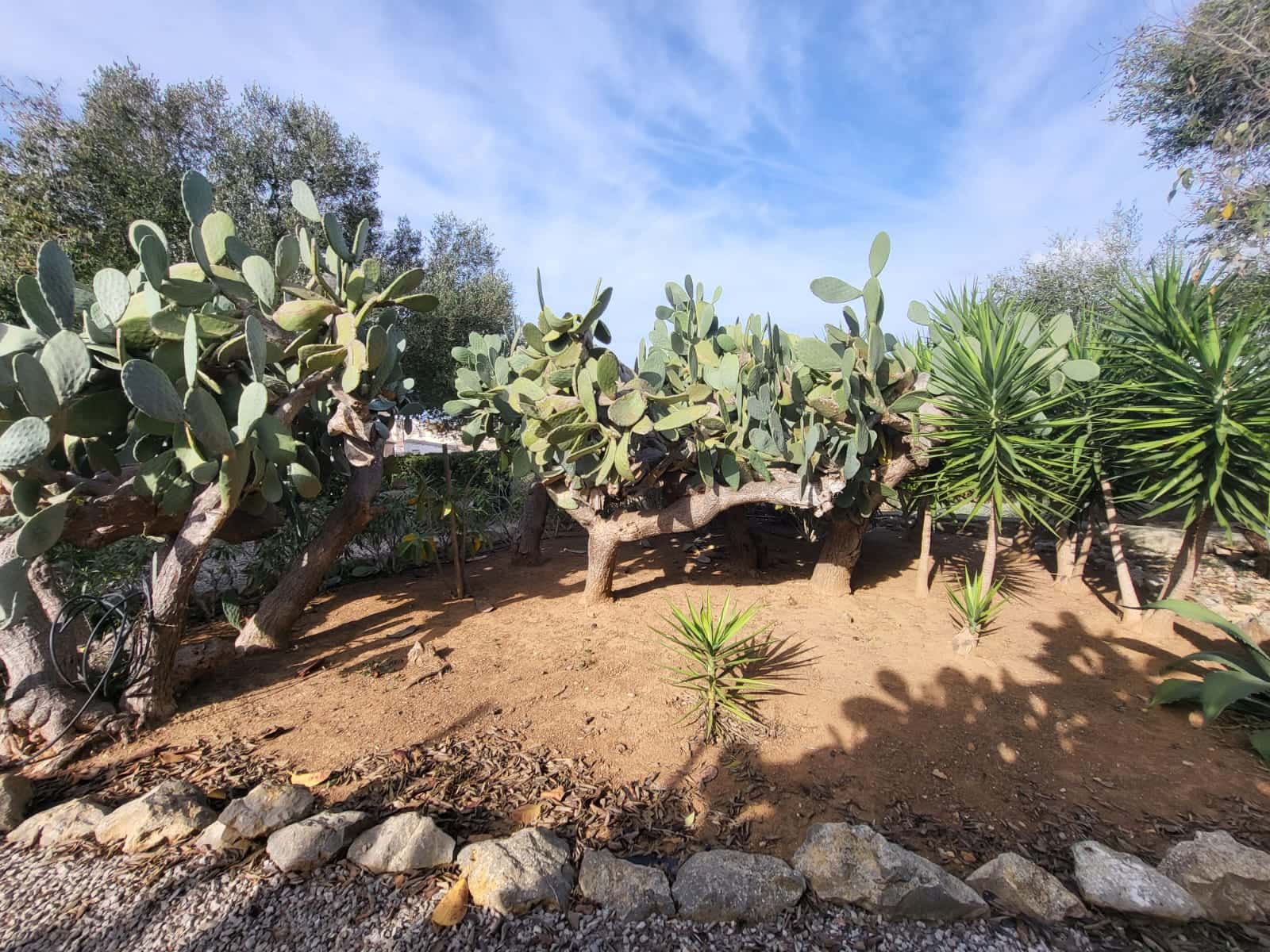 5 soverom Finca/Herregård til salgs i Felanitx med svømmebasseng - € 2 300 000 (Ref: 7985188)