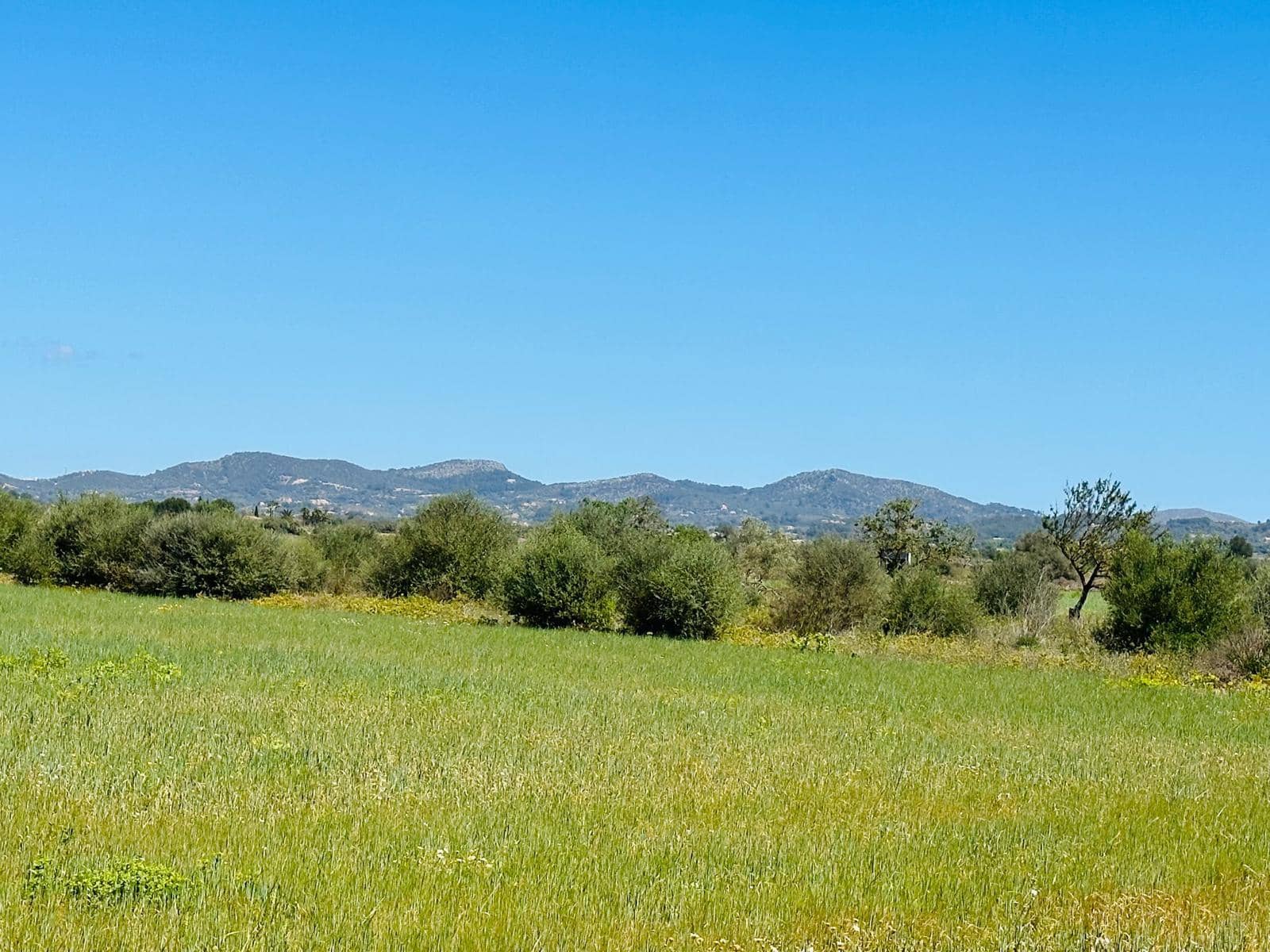 Teren niezagospodarowany na sprzedaż w Felanitx - 235 000 € (Ref: 8020668)