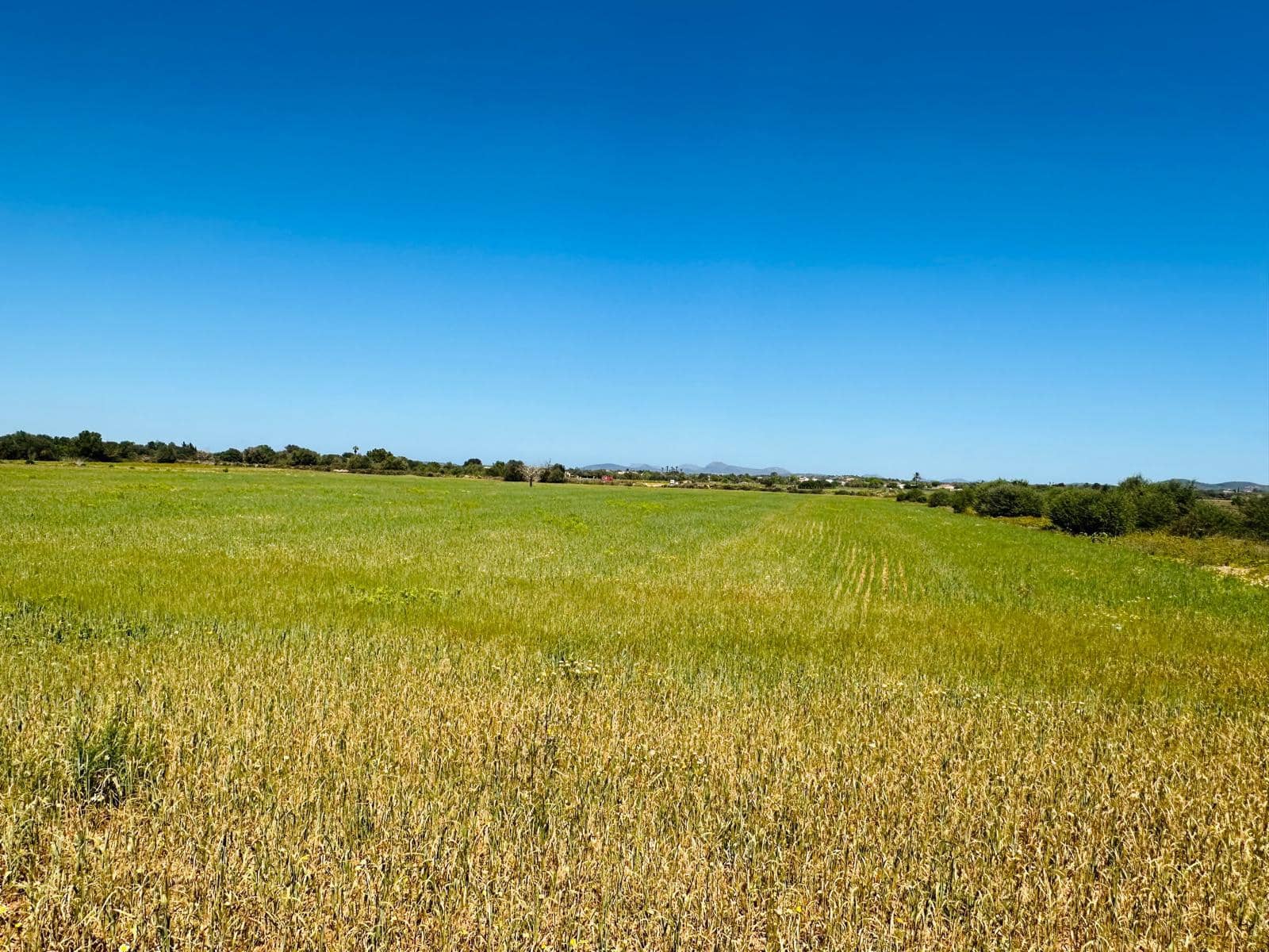 Teren niezagospodarowany na sprzedaż w Felanitx - 235 000 € (Ref: 8020668)