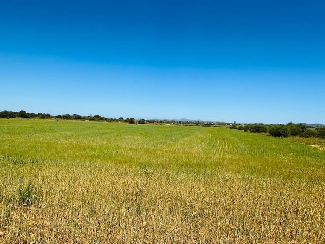 Undeveloped Land for sale in Felanitx - € 235,000 (Ref: 8020668)