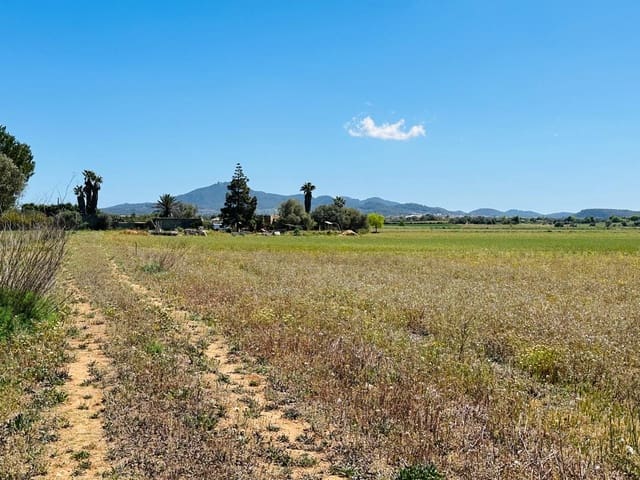Undeveloped Land for sale in Felanitx - € 235,000 (Ref: 8020668)