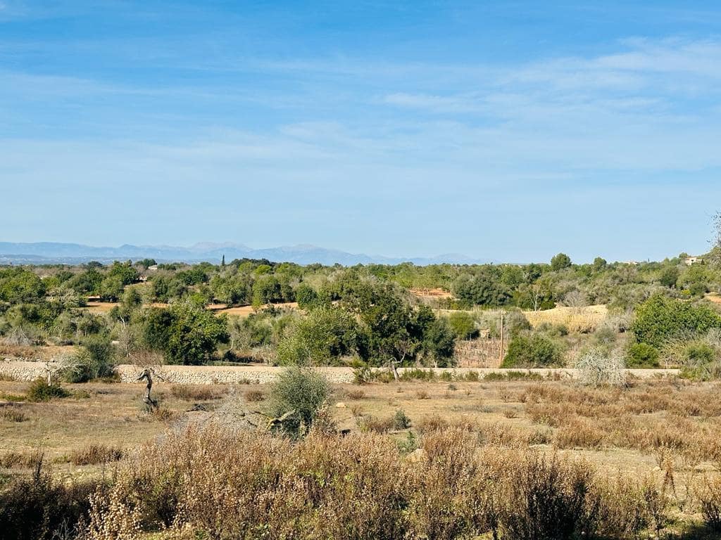 Grunde uden byggetilladelser til salg i Es Carritxo / El Carritxo - € 630.000 (Ref: 8021417)