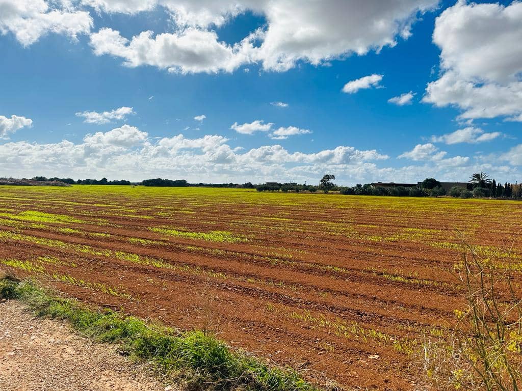 7 slaapkamer Finca/Landhuis te koop in Sa Rapita / La Rapita met garage - € 450.000 (Ref: 8049014)