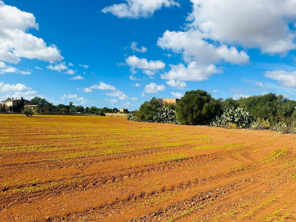 7 slaapkamer Finca/Landhuis te koop in Sa Rapita / La Rapita met garage - € 450.000 (Ref: 8049014)