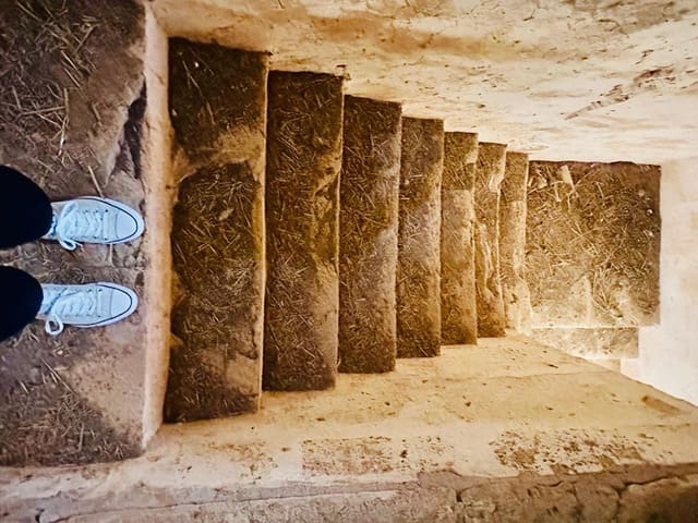 7 bedroom Finca/Country House for sale in Sa Rapita / La Rapita, Campos with garage - € 450,000 (Ref: 8049014)