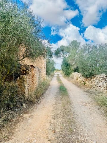 7 bedroom Finca/Country House for sale in Sa Rapita / La Rapita, Campos with garage - € 450,000 (Ref: 8049014)