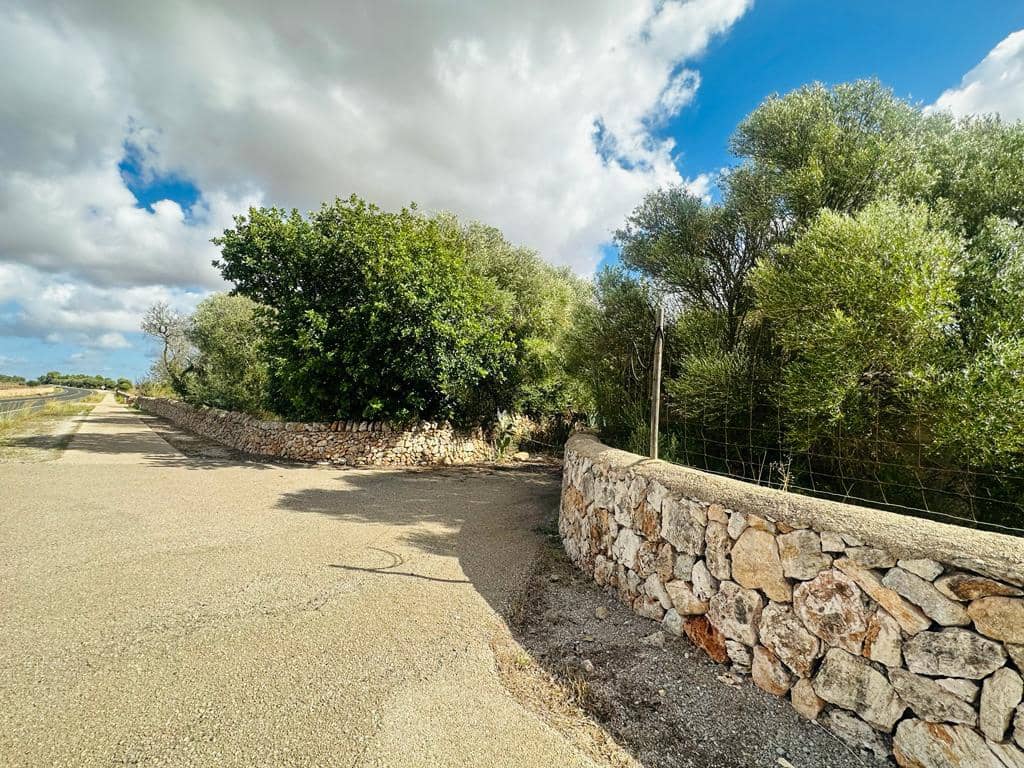 7 slaapkamer Finca/Landhuis te koop in Sa Rapita / La Rapita met garage - € 450.000 (Ref: 8049014)