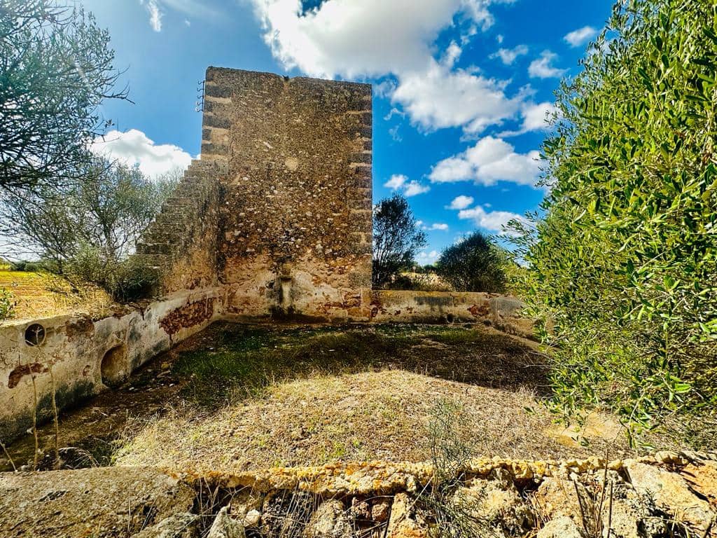 7 slaapkamer Finca/Landhuis te koop in Sa Rapita / La Rapita met garage - € 450.000 (Ref: 8049014)