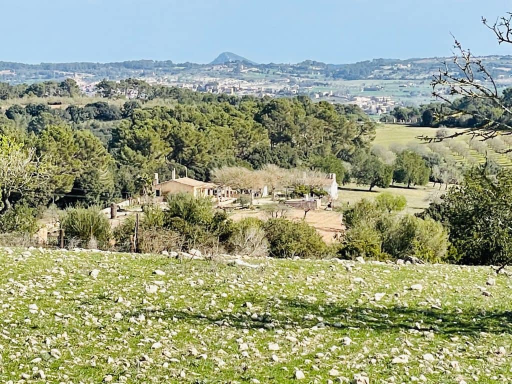 6 chambre Finca/Maison de Campagne à vendre à Algaida - 550 000 € (Ref: 8055852)