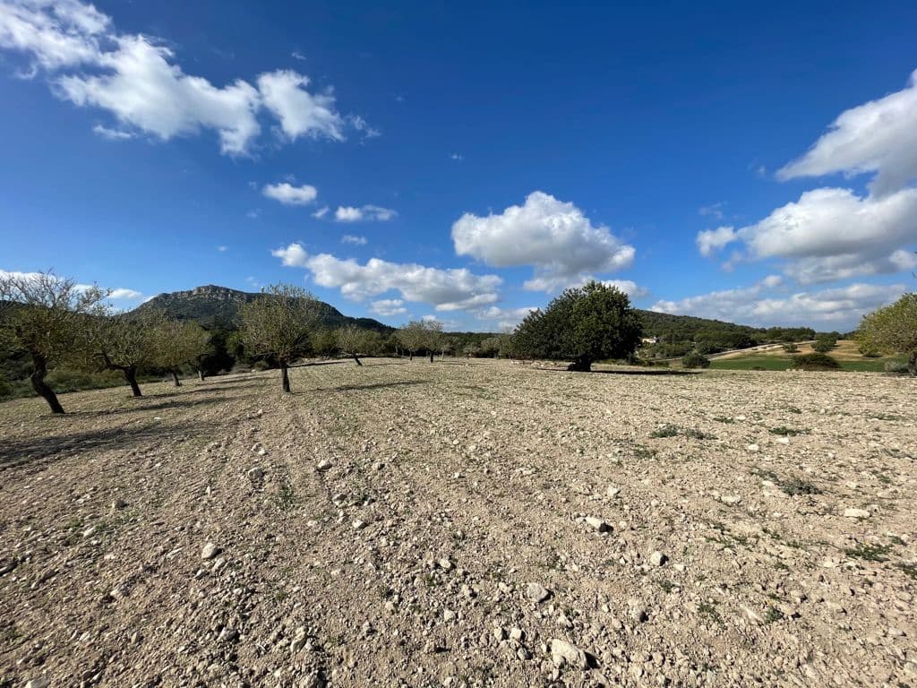 6 chambre Finca/Maison de Campagne à vendre à Algaida - 550 000 € (Ref: 8055852)