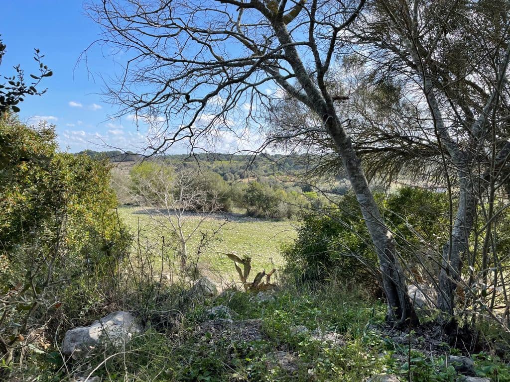 6 chambre Finca/Maison de Campagne à vendre à Algaida - 550 000 € (Ref: 8055852)