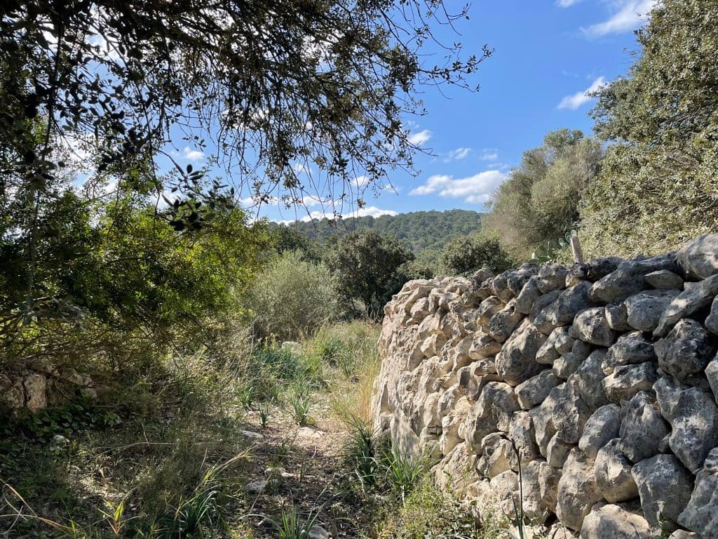 6 chambre Finca/Maison de Campagne à vendre à Algaida - 550 000 € (Ref: 8055852)