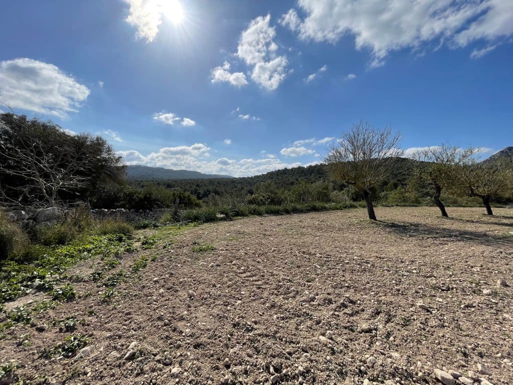6 chambre Finca/Maison de Campagne à vendre à Algaida - 550 000 € (Ref: 8055852)