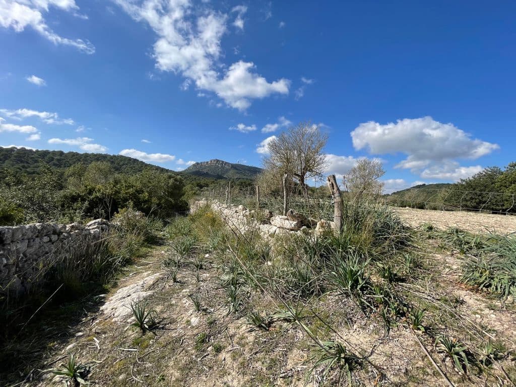 6 chambre Finca/Maison de Campagne à vendre à Algaida - 550 000 € (Ref: 8055852)