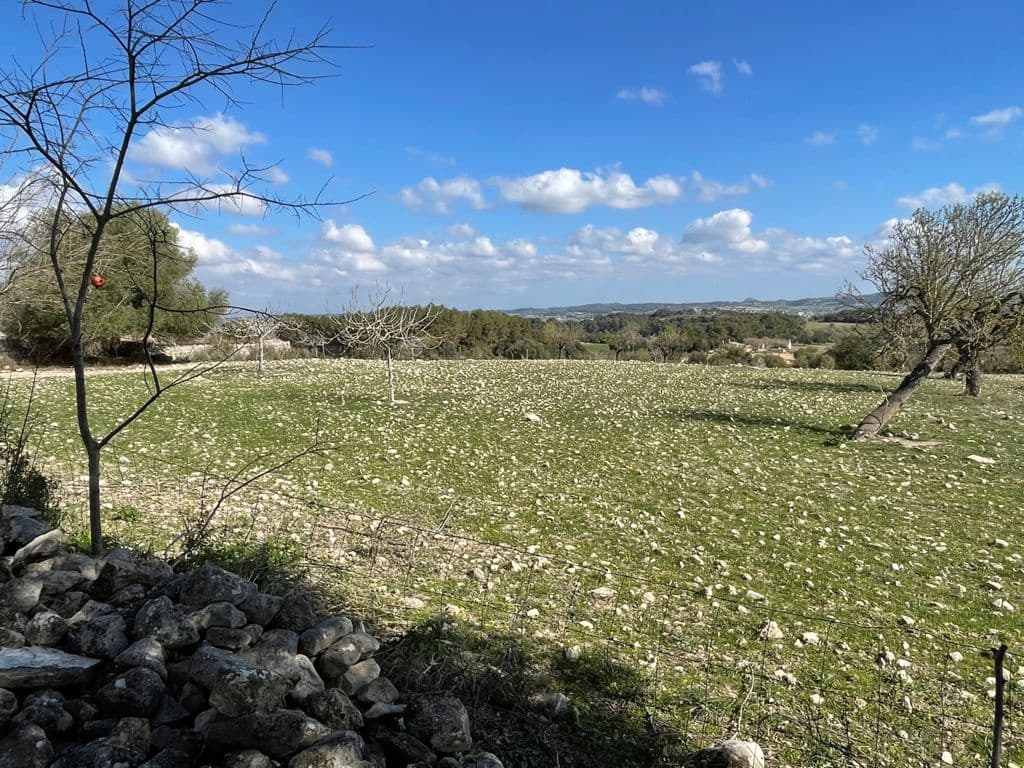 6 chambre Finca/Maison de Campagne à vendre à Algaida - 550 000 € (Ref: 8055852)