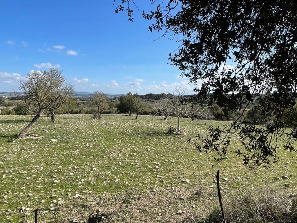 6 chambre Finca/Maison de Campagne à vendre à Algaida - 550 000 € (Ref: 8055852)
