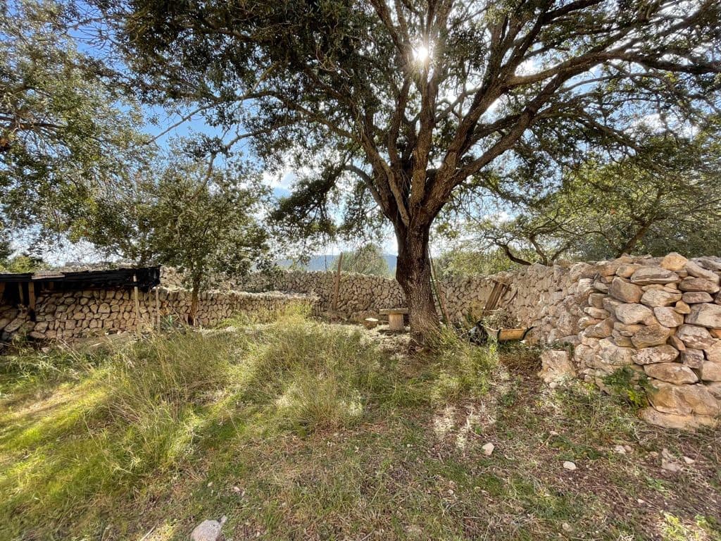 6 chambre Finca/Maison de Campagne à vendre à Algaida - 550 000 € (Ref: 8055852)