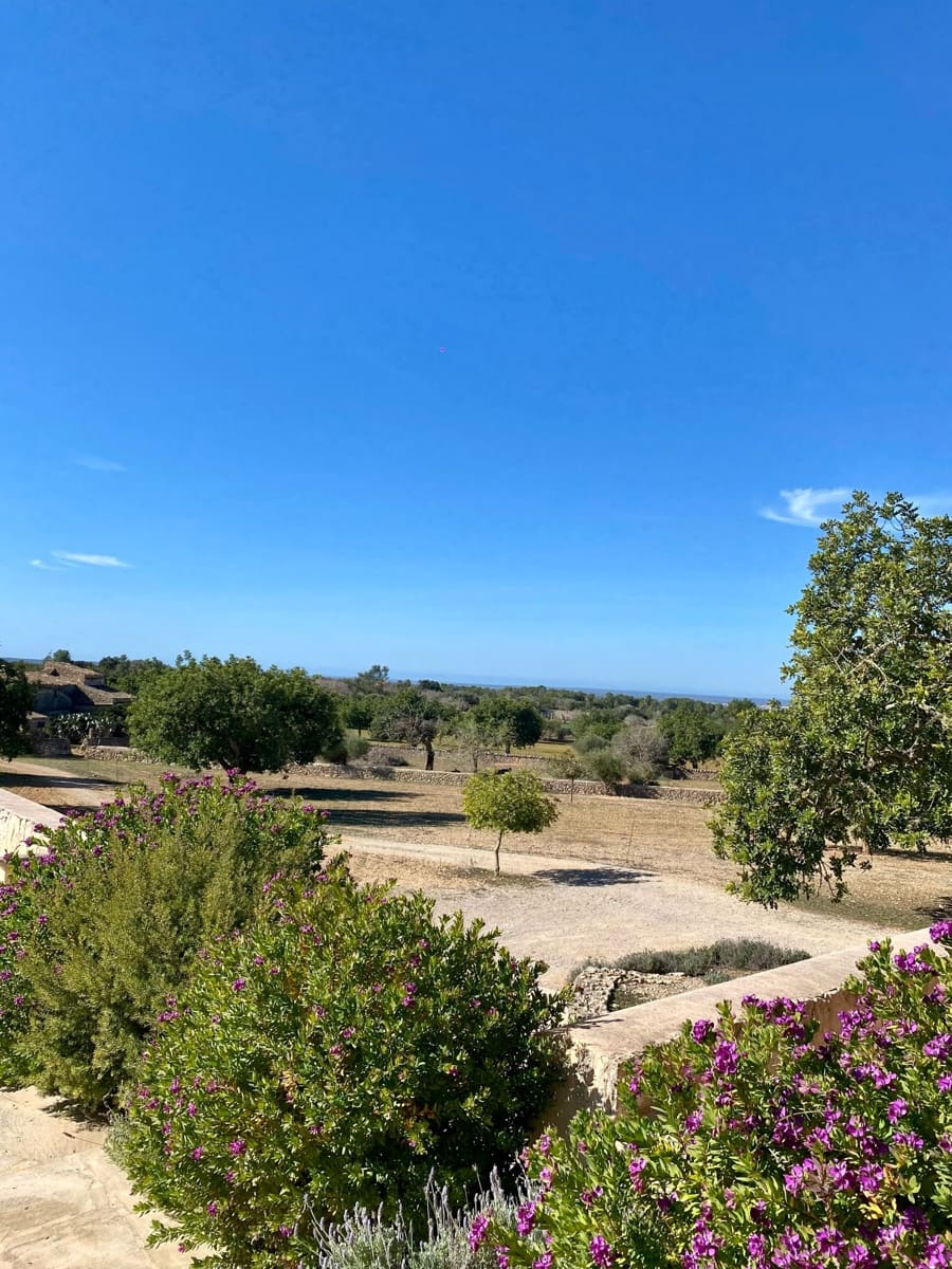 4 slaapkamer Finca/Landhuis te koop in Cas Concos met zwembad - € 1.700.000 (Ref: 8099851)