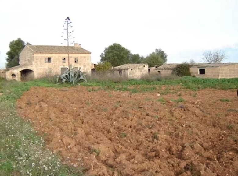 Finca/Country House for sale in Manacor - € 631,000 (Ref: 8149942)