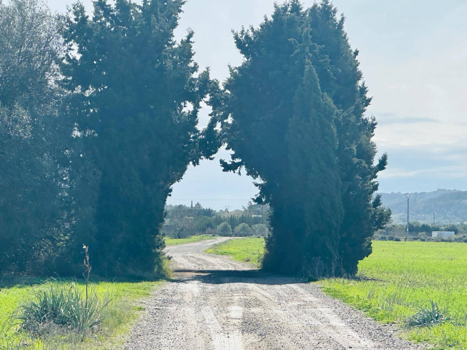 Finca/Country House for sale in Manacor - € 631,000 (Ref: 8149942)