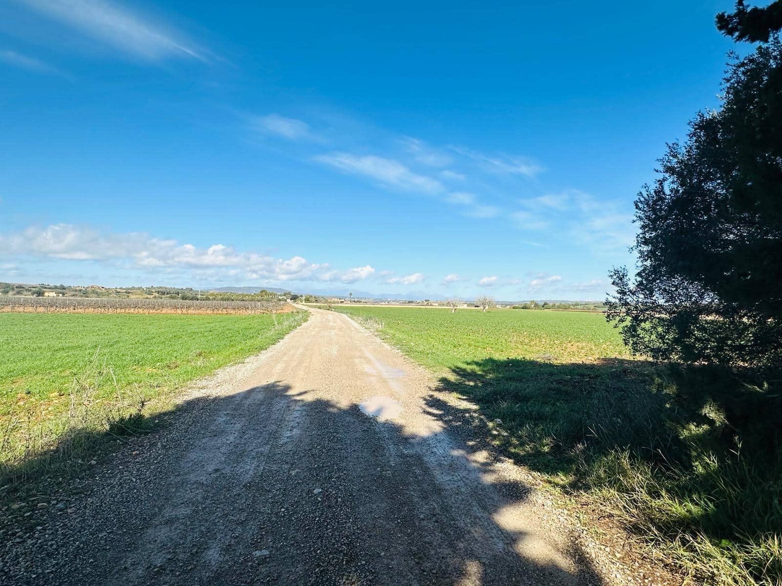 Finca/Country House for sale in Manacor - € 631,000 (Ref: 8149942)