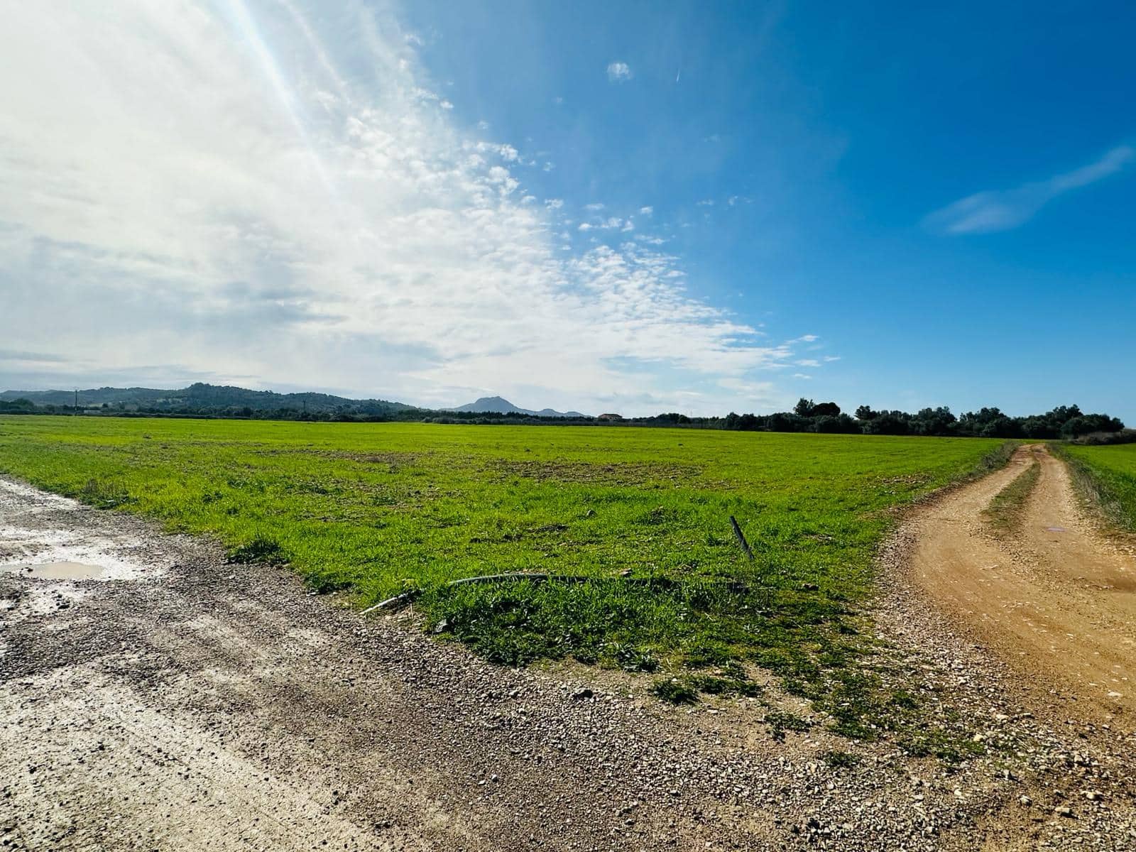 Finca/Country House for sale in Manacor - € 631,000 (Ref: 8149942)