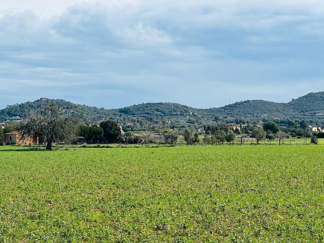 Finca/Country House for sale in Manacor - € 631,000 (Ref: 8149942)