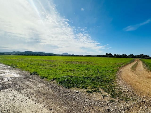 Finca/Country House for sale in Manacor - € 631,000 (Ref: 8149942)