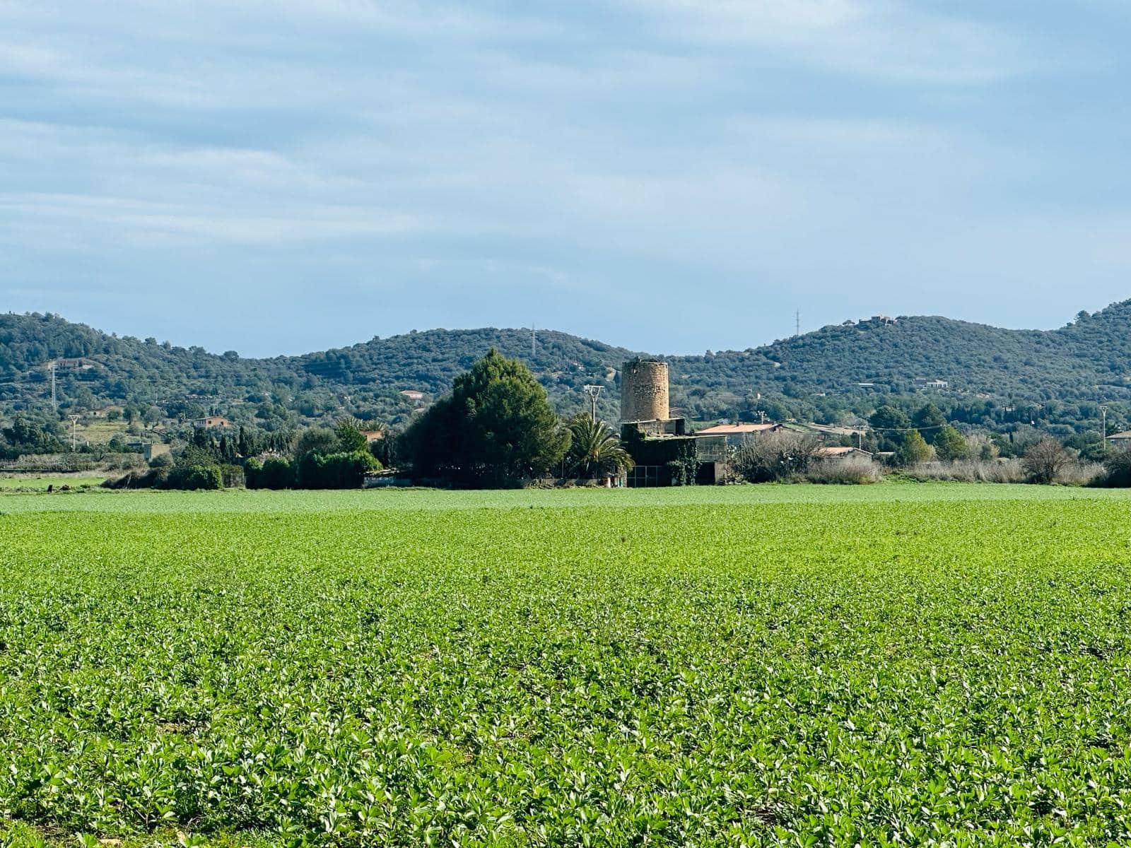 Finca/Country House for sale in Manacor - € 631,000 (Ref: 8149942)