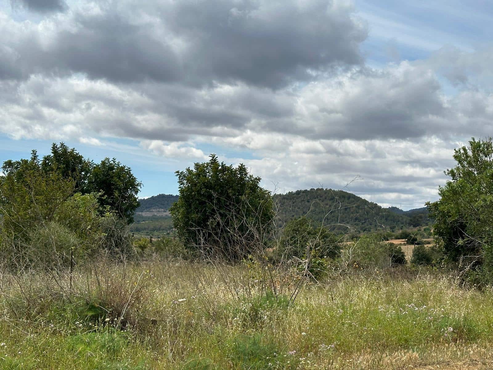 4 chambre Finca/Maison de Campagne à vendre à Espinagar avec garage - 250 000 € (Ref: 8280046)