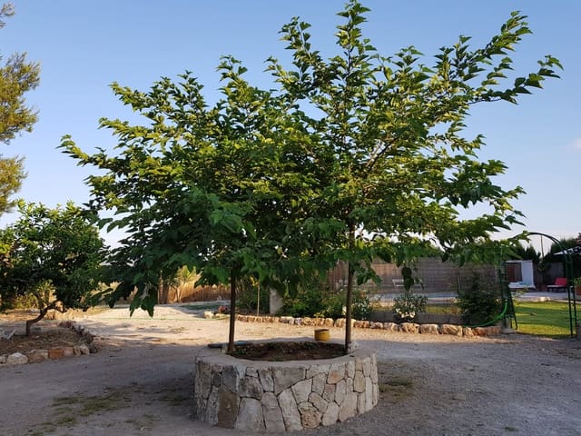 5 makuuhuone Maalaistalo vuokrattavana paikassa Felanitx mukana uima-altaan 
autotalli - 2 500 € (Ref: 8280064)