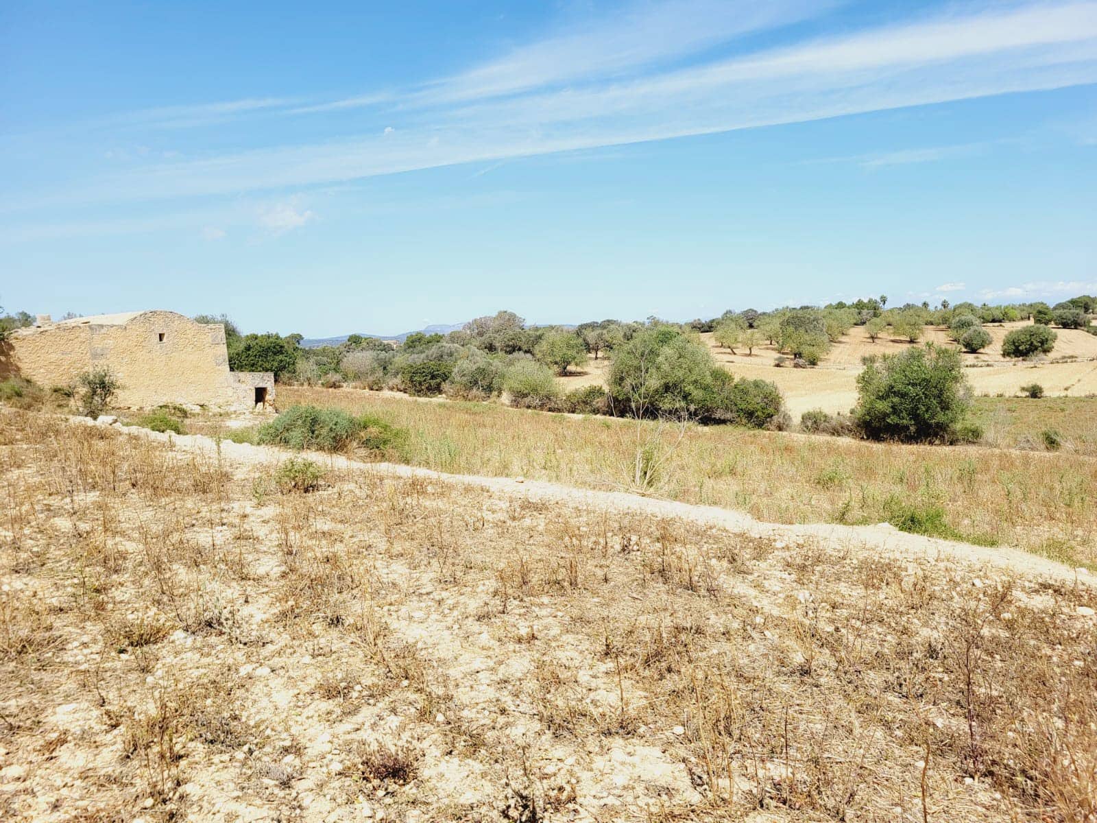 4 chambre Finca/Maison de Campagne à vendre à Felanitx avec piscine garage - 1 500 000 € (Ref: 8317037)