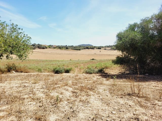 4 sypialnia Finka/Dom wiejski na sprzedaż w Felanitx z basenem garażem - 1 500 000 € (Ref: 8317037)