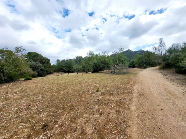 Area Edificabile in vendita in Felanitx - 150.000 € (Rif: 8323634)