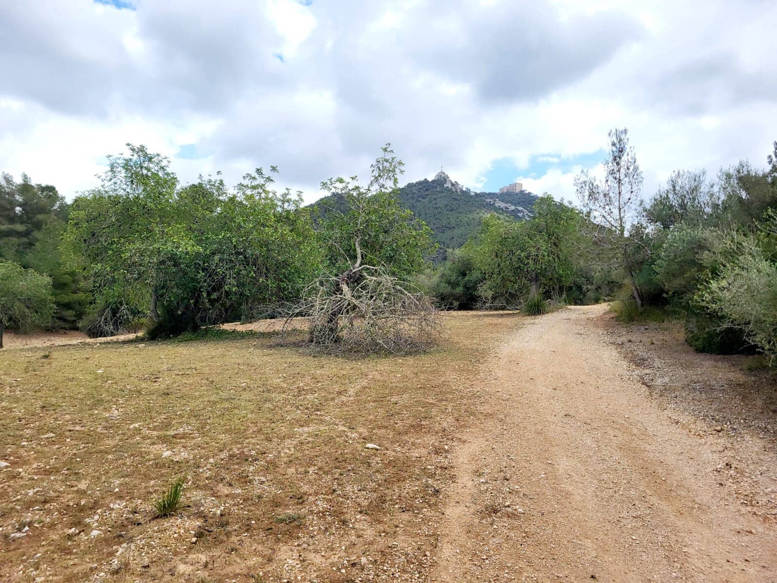 Area Edificabile in vendita in Felanitx - 150.000 € (Rif: 8323634)