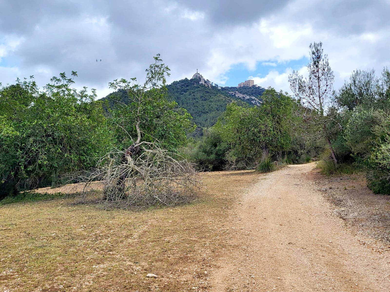 Area Edificabile in vendita in Felanitx - 150.000 € (Rif: 8323634)