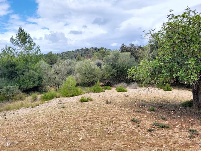 Area Edificabile in vendita in Felanitx - 150.000 € (Rif: 8323634)