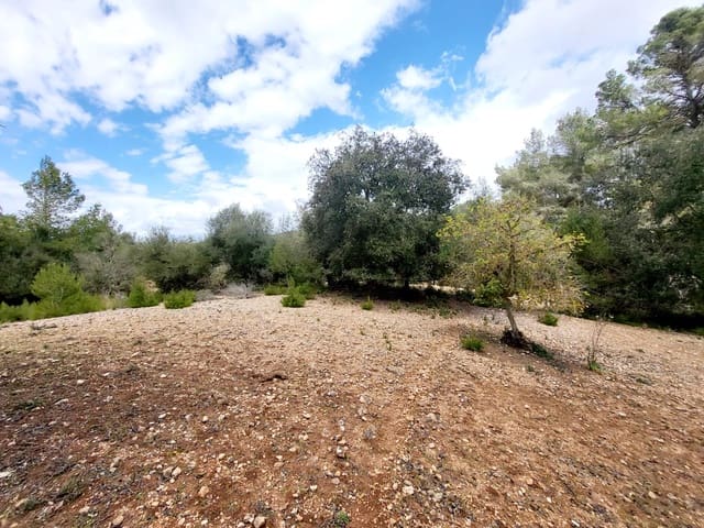 Area Edificabile in vendita in Felanitx - 150.000 € (Rif: 8323634)