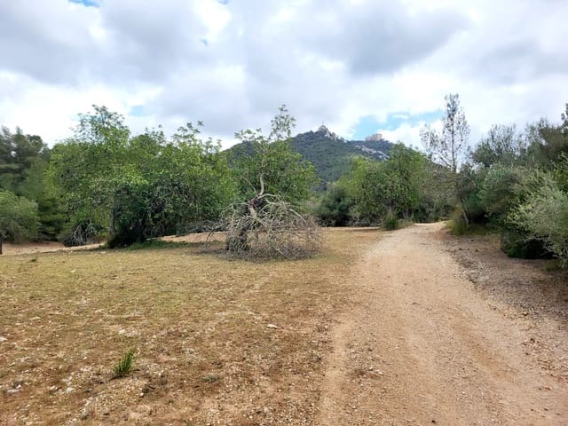 Area Edificabile in vendita in Felanitx - 150.000 € (Rif: 8323634)