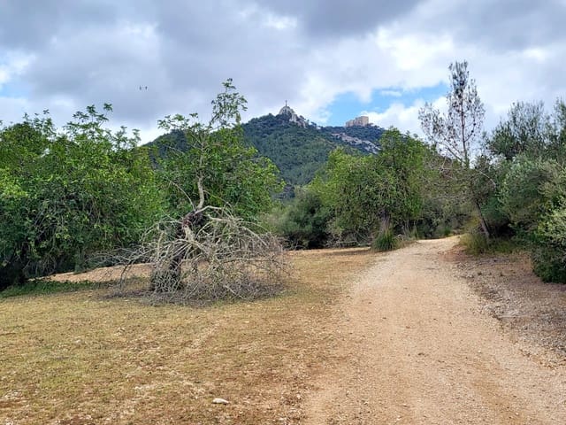 Area Edificabile in vendita in Felanitx - 150.000 € (Rif: 8323634)