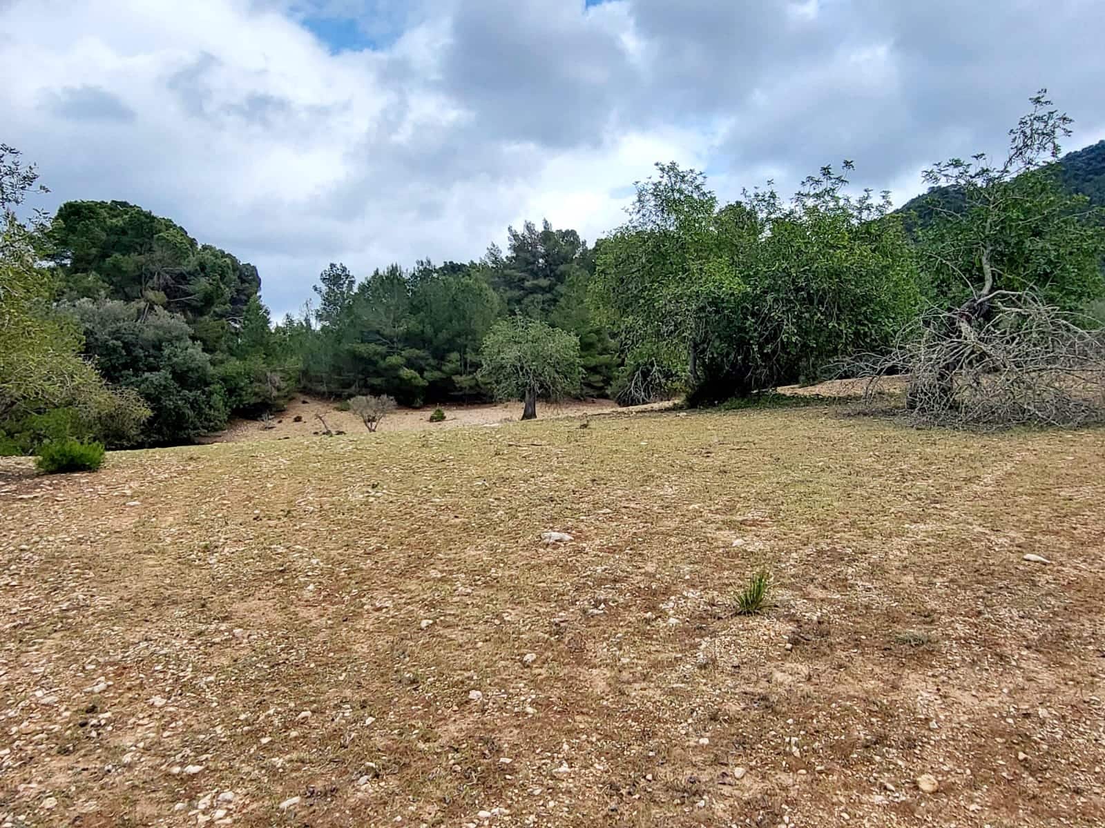 Area Edificabile in vendita in Felanitx - 150.000 € (Rif: 8323634)