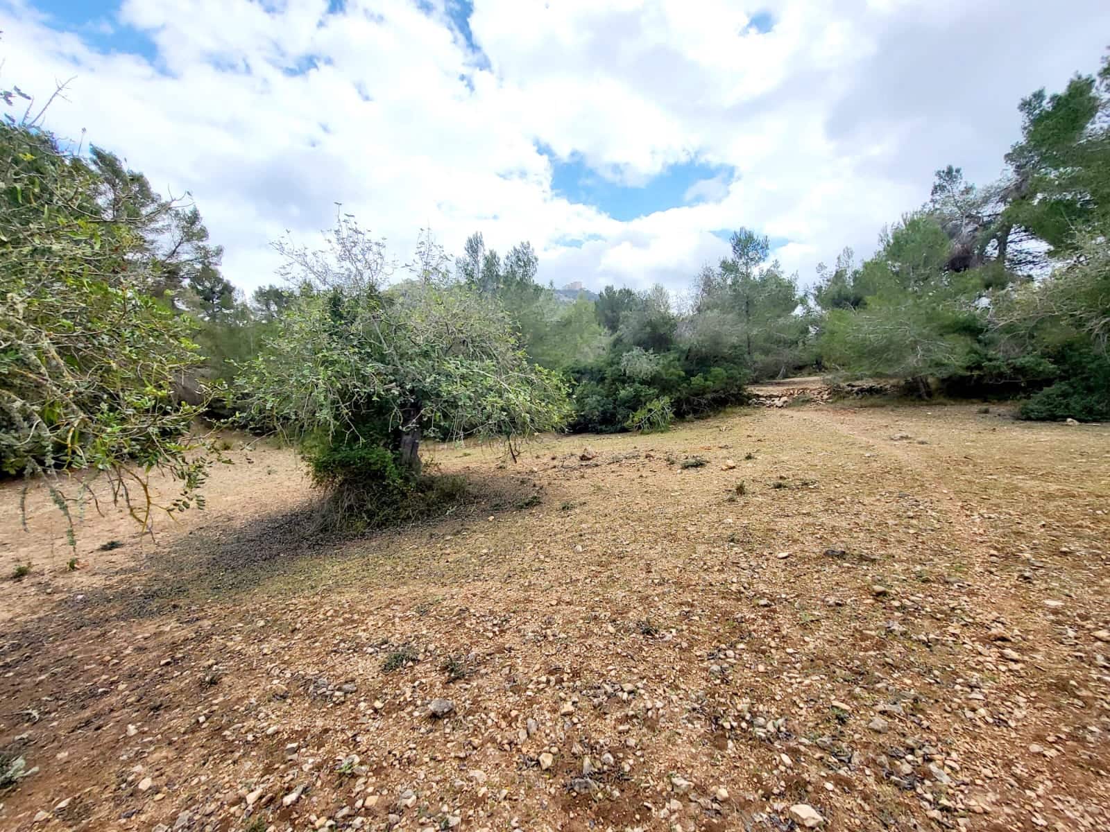 Area Edificabile in vendita in Felanitx - 150.000 € (Rif: 8323634)