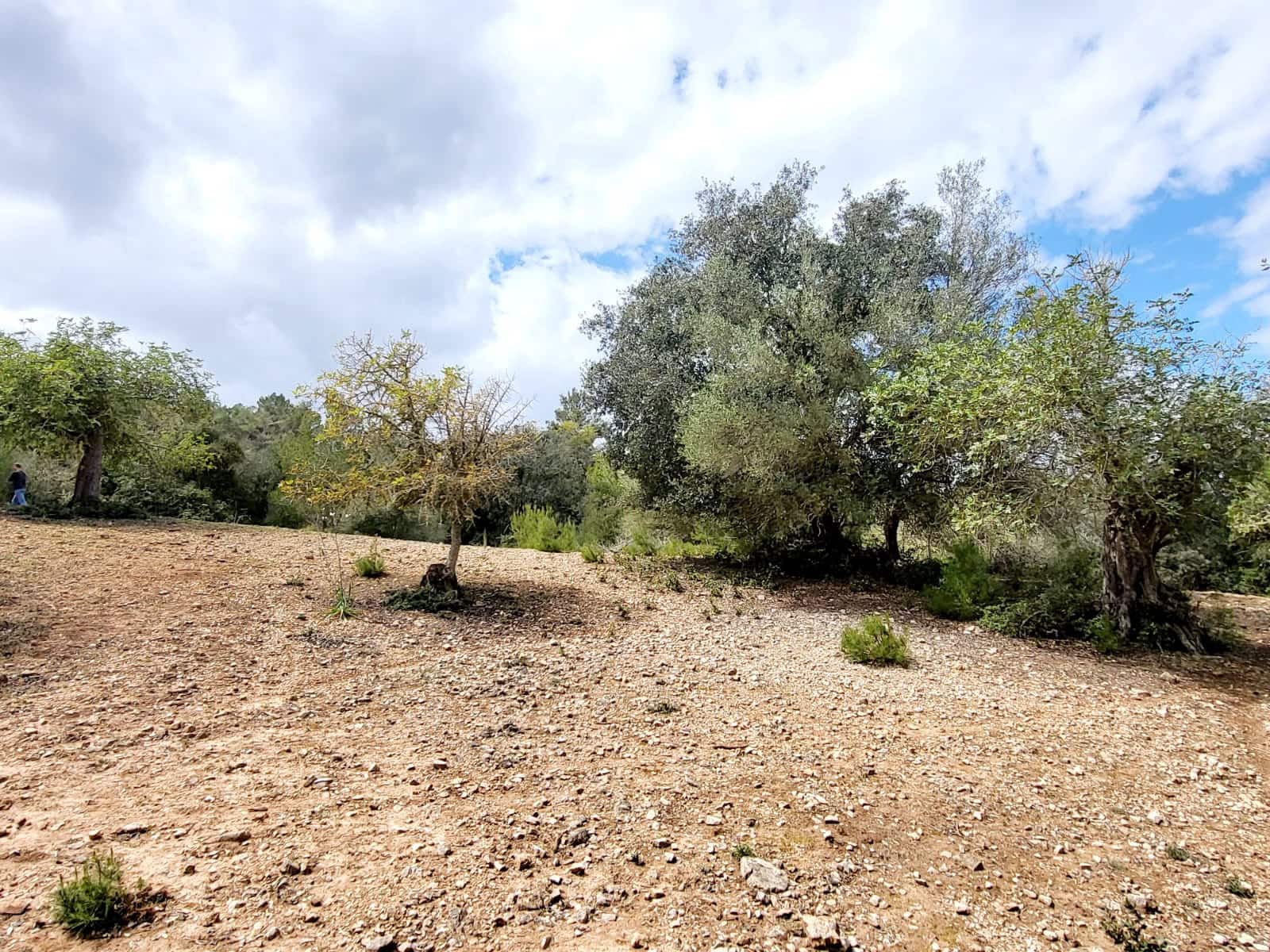 Area Edificabile in vendita in Felanitx - 150.000 € (Rif: 8323634)