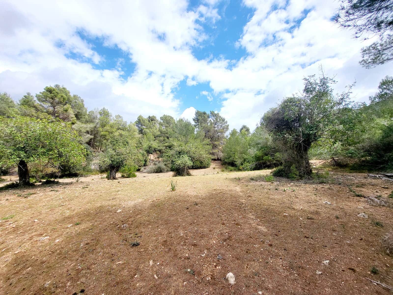 Area Edificabile in vendita in Felanitx - 150.000 € (Rif: 8323634)