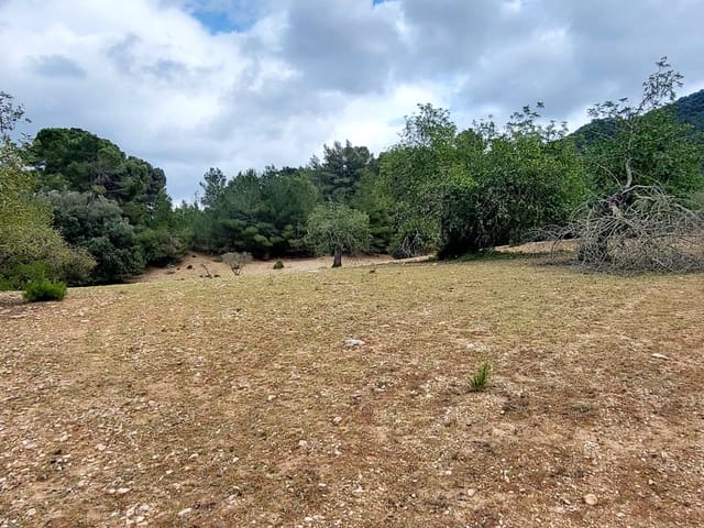 Area Edificabile in vendita in Felanitx - 150.000 € (Rif: 8323634)