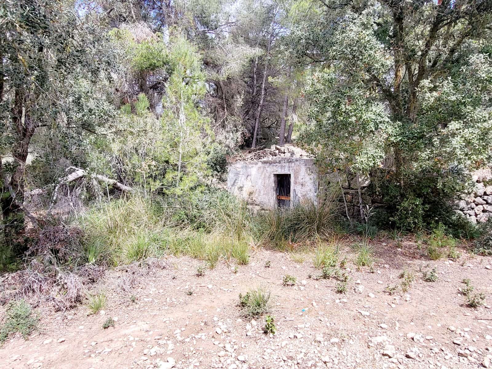 Area Edificabile in vendita in Felanitx - 150.000 € (Rif: 8323634)