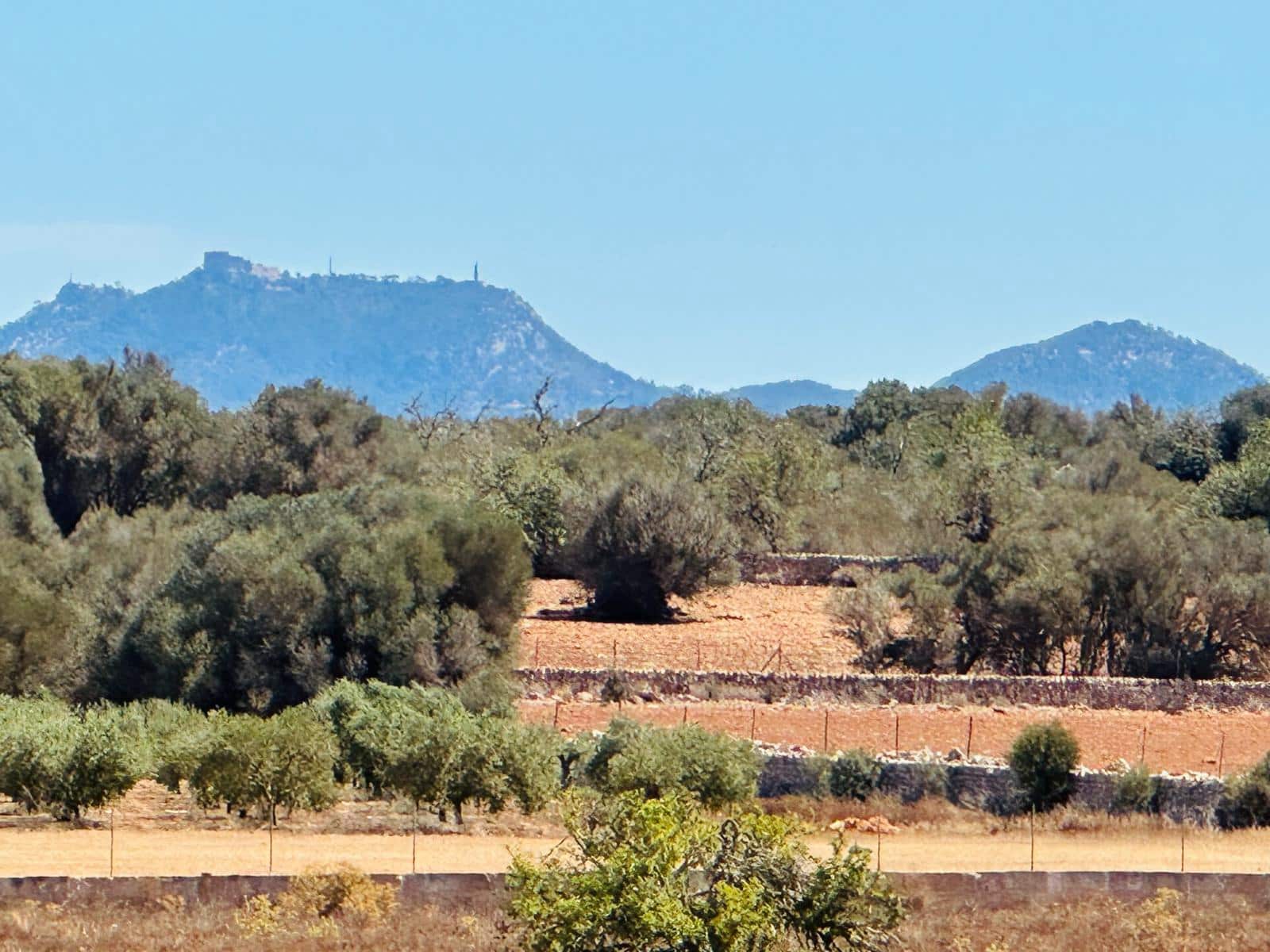 3 camera da letto Finca/Casa di Campagna in vendita in Ses Salines con piscina garage - 2.150.000 € (Rif: 8395627)